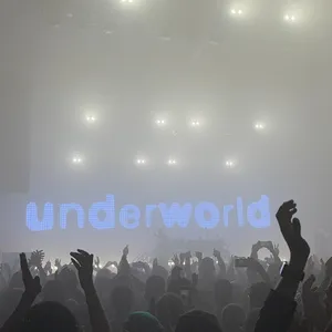 concert photo