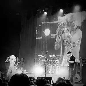 concert photo