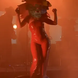 concert photo