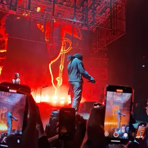 concert photo