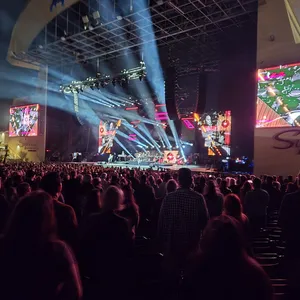 concert photo