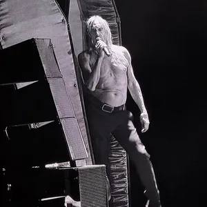concert photo