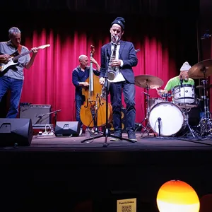 concert photo
