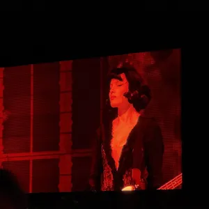 concert photo