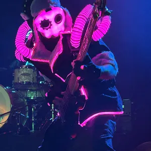 concert photo