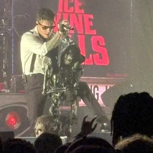 concert photo