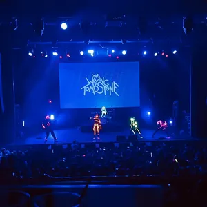 concert photo
