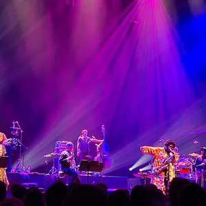 concert photo