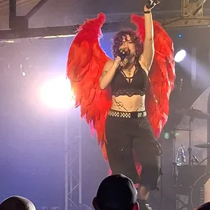 concert photo