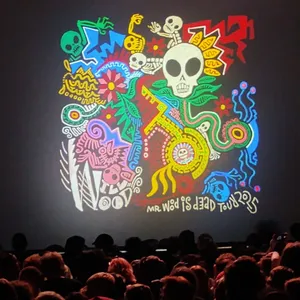 concert photo