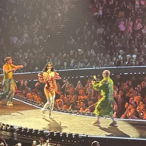 concert photo