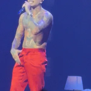 concert photo