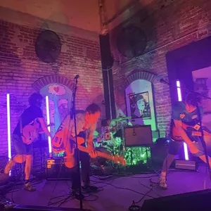 concert photo