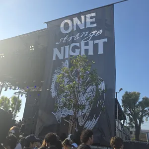 concert photo