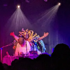 concert photo