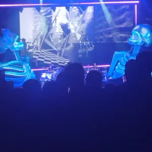concert photo
