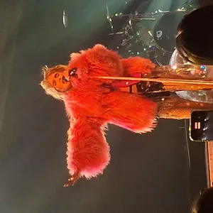 concert photo