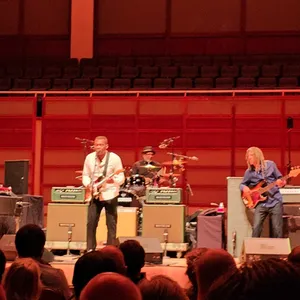 concert photo