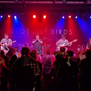 concert photo