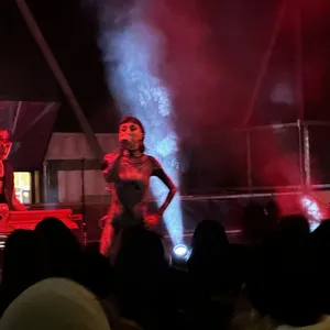 concert photo