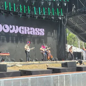 concert photo