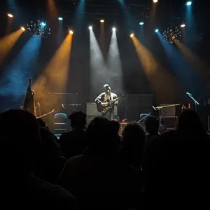 concert photo
