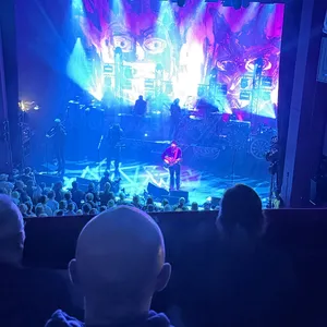 concert photo