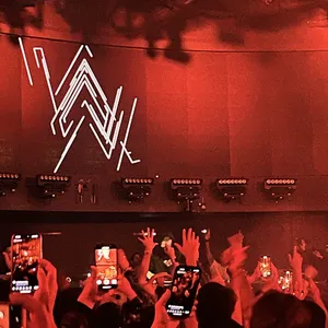 concert photo
