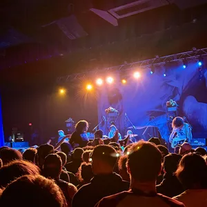 concert photo