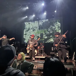 concert photo