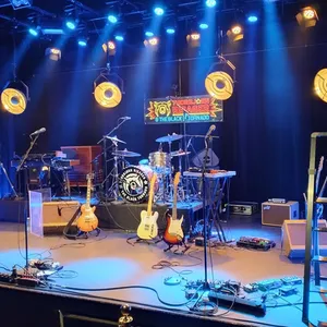 concert photo