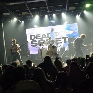 concert photo