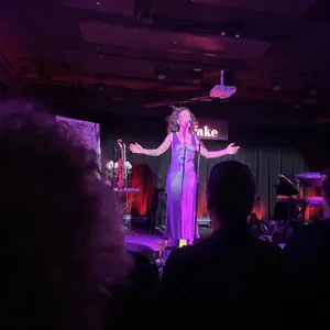 concert photo