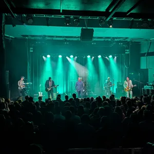 concert photo