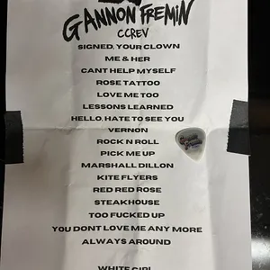 concert photo