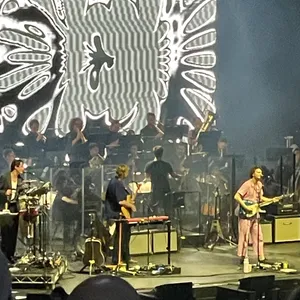 concert photo