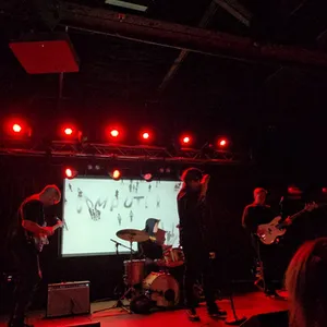 concert photo