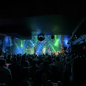 concert photo