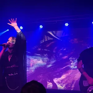 concert photo