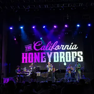 concert photo