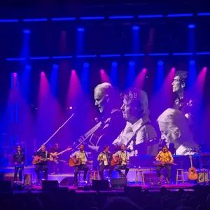 concert photo