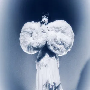 concert photo