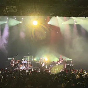 concert photo