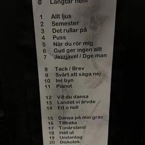concert photo