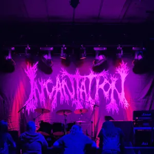 concert photo