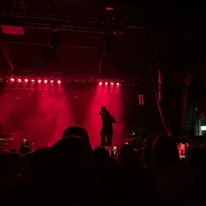 concert photo