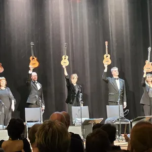 concert photo