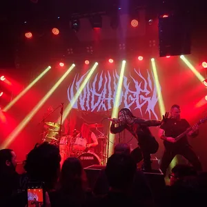 concert photo