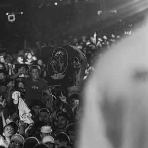 concert photo