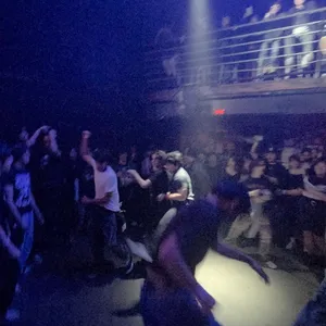 concert photo